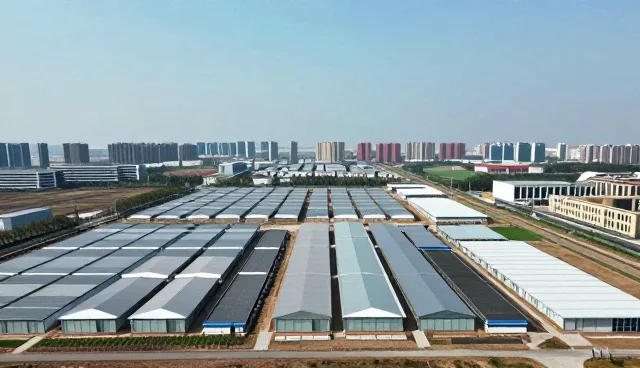 自动化测试工具在实际应用中的维护与使用技巧